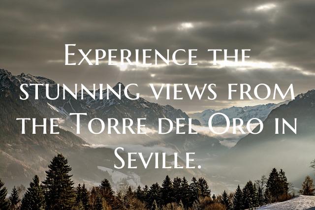 Experience the stunning views from the Torre del O...