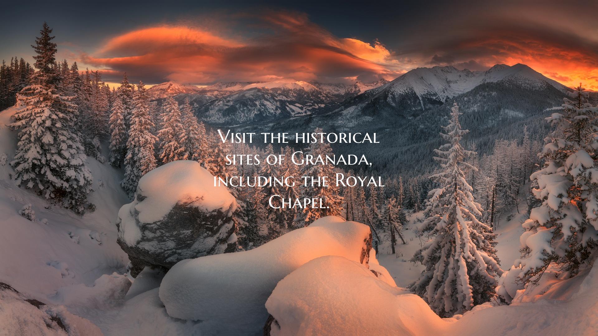 Visit the historical sites of Granada, including t...